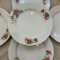 بشقاب گل سرخی