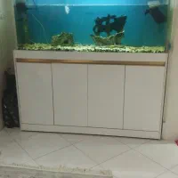 اکواریوم کارخانه ای  شیشه خم