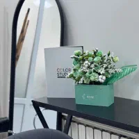 همکاری با آرایشگر متخصص