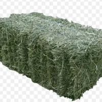 یونجه فروشی