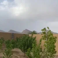 باغ ۱۵۰۰ متری علویجه قابل معاوضه
