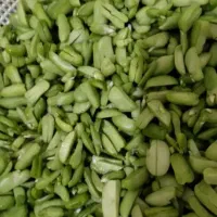 پاک وتمیز کردن لوبیا وباقالی خود را به مابسپارید
