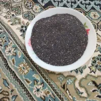 تخم شربتی دیم خرمنی