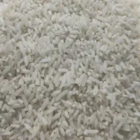 برنج سرلاشه مینو دشت