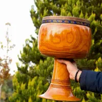 آموزش سنتور و تمبک - از مبتدی تا پیشرفته