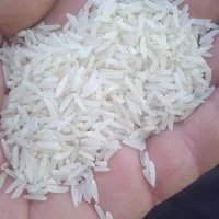 برنج فجر سوزنی ۱۲۰ روزه درجه ۱