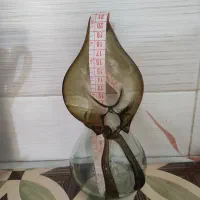 تنگ شیشه