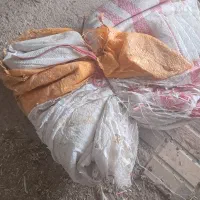 سلام ۳۰۰ شلیف کاه دونه ۵۰