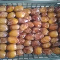 رطب کبکاب درجه یک بافق