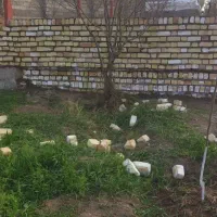 بنایی وسفتکاری