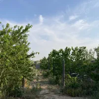 باغ ملکی شاهنامه ۶۹ زاک