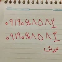 دوعدد سیم‌کارت رند فقط عدد ۲ و۳ آخرش فرق میکنه