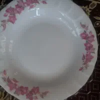 چینی زرین اصل وآرکوپال