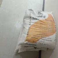 گچ گیپتون