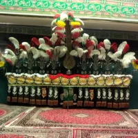 علامت 11تیغه