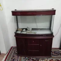 اکواریوم چینی شیشه خم