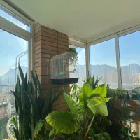 پنت-هاووس270متری-در-گلزار
