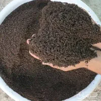 کود ورمی کمپوست