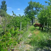 زمین ویلای ۱۰۰۰ متری