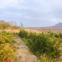 باغ-وزمین