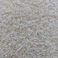 برنج طارم  قدیم عطری اصل فریدونکنار