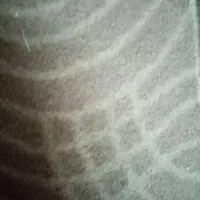 موکت طرح داریه تیکه25متر