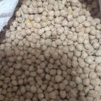 تخم مرغ محلی و انواع حبوبات موجوده