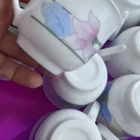 فنجان نلبکی ارکوپال طرح فلو