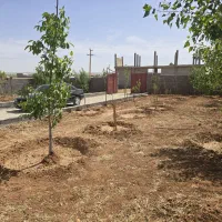 باغچه-کودیان