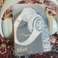 هدفن P39