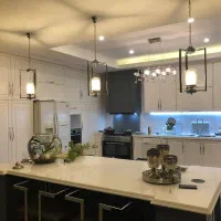 کالای چوب پالونیا