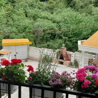ویلای لاکچری در بهترین موقعیت طبیعت