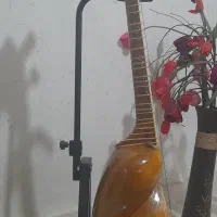 تار|سازهای سنتی|بندرعباس, |دیوار