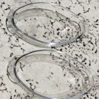 تابه پیرکس سالاد خوری مرغ خوری نو معاوضه