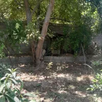 باغچه-هزارمتر-فاروق