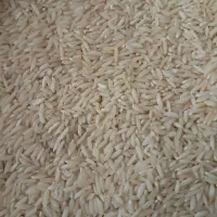 برنج علی کاظمی طارم