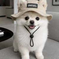 کلاه پت