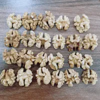 مغز گردو عمده