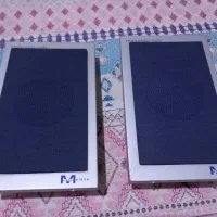 اسپیکر،باند کامپیوتری