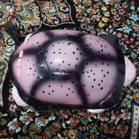 چراغ خواب شیک|چراغ خواب و آباژور|اراک, |دیوار