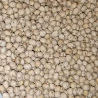 نخود آبگوشتی درجه یک بوجار شده