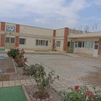 استخدام نیرو در توانبخشی