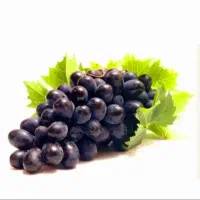 مخمر*(پخش کشمش)