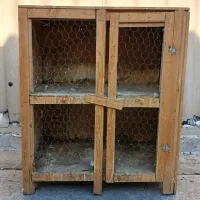 کبوتر و جفت کنی