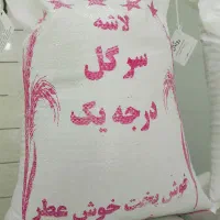 لاشه سرگل فجز