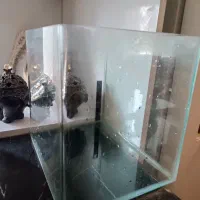 آکواریوم شیشه خم به همراه حلزون