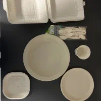 ظروف یکبار مصرف