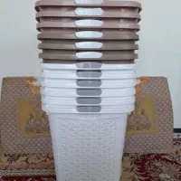 پلاسکو