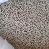 فروش عدس محلی وکاملا ارگانیک