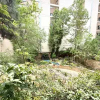 کلنگی ۲ دانگ خرید ۴ دانگ مشارکت اماده جلسه